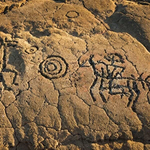 Hawaiian petroglyphs on the Kings Trail at Waikoloa, Kohala Coast, Big Island, Hawaii