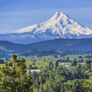 Hood River, Oregon. Snow capped Mount Hood dominates over the green valley, farms