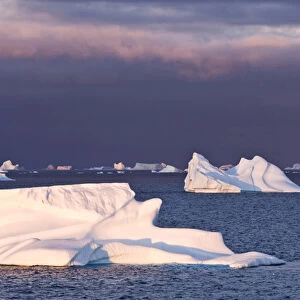 Icebergs at sunrise Cape York Weast Coast of Greenland