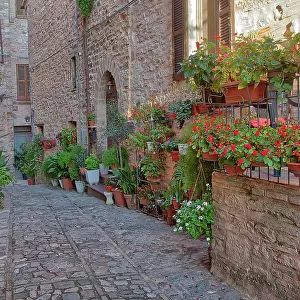 Italy, Umbria. Scenic sight in Spello, flowery and picturesque village
