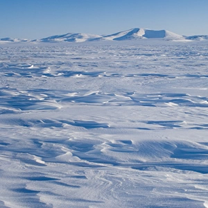 landscape of the frozen Arctic ocean west of Herschel Island, off the Mackenzie River delta