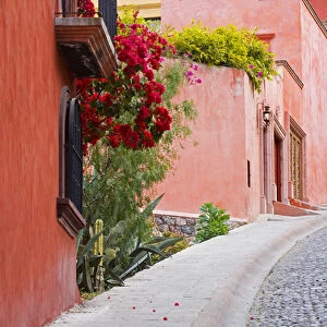 North America, Mexico, Guanajuato state, San Miguel de Allende. A colorful neighborhood