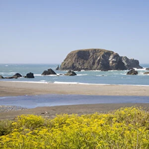 OR, Oregon Coast, Whaleshead Beach, South Coast, Seastacks