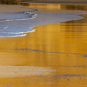 Reflective wet sand at sunrise, Cape Kiwanda in Pacific City, Oregon, USA
