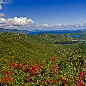 A scenic of Cruse Bay, St. John U.s Virgin Islands