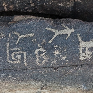 Scottsdale, Arizona. Native petroglyphs at Taliesin West, Frank Lloyd Wrights winter home