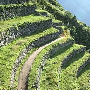 South America Peru Machu Picchu Terracing