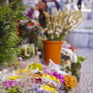 Spain, Andalucia Region, Cadiz Province, Cadiz, Plaza de Topete flower market