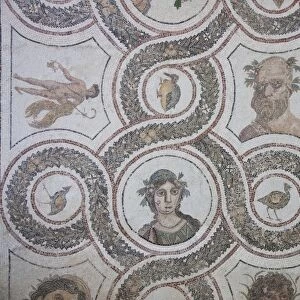 Tunisia, Tunisian Central Coast, El Jem, El Jem Museum, Roman-era mosaic