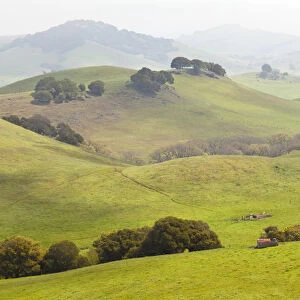 USA, California, Olema. Landscape of farm fields