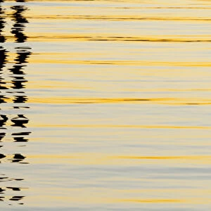 USA, California, San Diego. Abstract reflections in San Diego Harbor