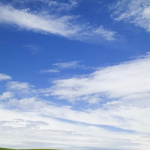USA, Idaho, Palouse Country, Spring Field of Peas and Wheat Running through the Fields