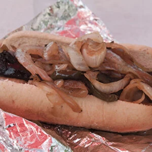 USA, Indiana, Indianapolis. Close-up of Polish sausage and onions at the Indiana State Fair