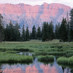 USA, Utah, High Uintas Wilderness, Wasatch National Forest, Ostter Peak reflected