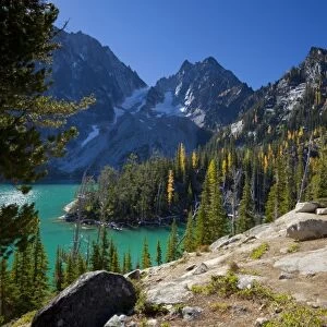 USA, WA, Alpine Lakes WIlderness. Colchuck Lake, in the fall with yellow larch trees
