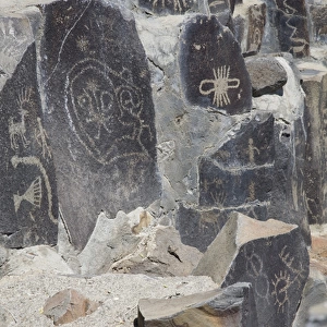 WA, Vantage, Indian Petroglyphs, at the Ginko Petrified Forest Interpretive Center