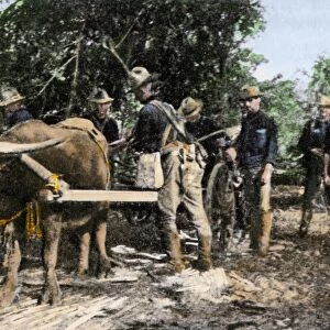 US soldiers in the Philippines after the Spanish-American War, 1899