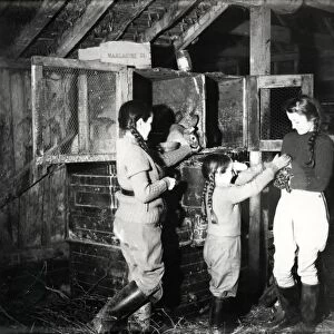 3 girls feeding rabbits, December 1941