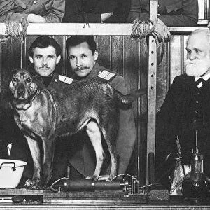 (1849-1936). Russian physiologist. Pavlov (center, with beard) with assistants and students at the Imperial Military Academy of Medicine, St. Petersburg, 1912-14, prior to a demonstration of his experiment on a dog