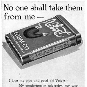 AD: TOBACCO, 1919. American advertisement for Velvet Tobacco, 1919