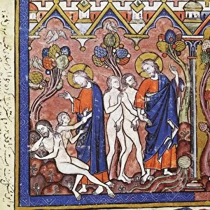 ADAM AND EVE. The Creation of Eve (Genesis 2: 15-18, 21-23). French manuscript illumination, c1250