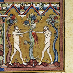 ADAM AND EVE. The Fall (Genesis 3: 1-6). French manuscript illumination, c1250