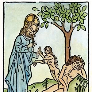 ADAM AND EVE. God creating Eve from the rib of Adam as he sleeps under the Tree of Knowledge
