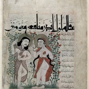 ADAM AND EVE. Persian manuscript illumination, c1290-1300