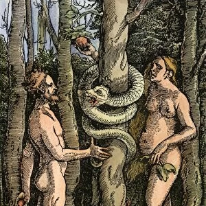 ADAM & EVE. Woodcut by Hans Baldung Grien, 1514