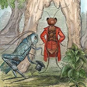 AESOP: GRASSHOPPER & ANT. The Grasshopper and the Ant