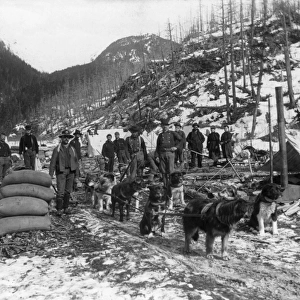 ALASKA: GOLD RUSH, c1897. Camp of gold prospectors with their sled dogs near the Dyea Canyon