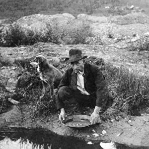 ALASKA: MINING, 1916. A miner panning for gold in Alaska. Photograph, 1916