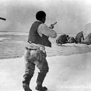 ALASKA: WALRUS HUNTING. Two Eskimo men with guns raised, hunting walrus. Photographed by Dobbs
