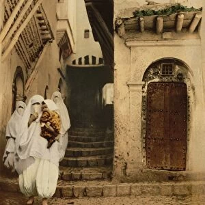 ALGERIA: STREET SCENE, c1899. The Street of the Camels in Algiers. Photochrome postcard