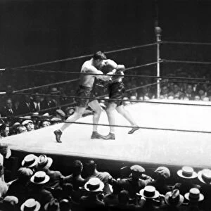 American boxer. Jack Dempsey and Jack Sharkey in the second round of their heavyweight boxing match at Yankee Stadium, 21 July 1927
