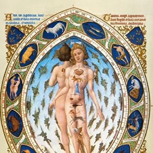 Anatomical / Astrological Man. Miniature depicting the influence of the zodiacal stars on the human body from the 15th century manuscript of the Tres Riches Heures of Jean, Duke of Berry
