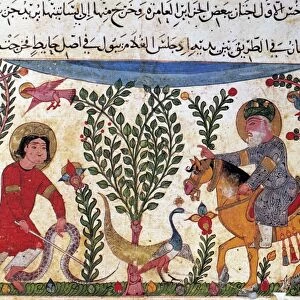 ARABIC PHYSICIAN. An Arabic physician watches as a boy suffering from a snakebite cures himself by eating the snake and some laurel berries. Illumination from the Book of Antidotes, by Pseudo-Galen, c1199