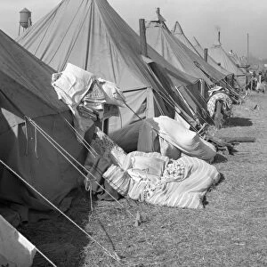 ARKANSAS: REFUGEE CAMP. Tents in the camp for black flood refugees in Forrest City, Arkansas