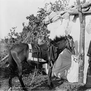 ASSINIBOIN GIRL, c1907. Irene Rock, an Assiniboin schoolgirl, with her pony at