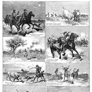 AUSTRALIA: COWBOYS, 1884. A Days Work on a Queensland Cattle-Station, Australia