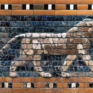BABYLON: LION. Glazed brick lion from the processional route at Babylon, 6th century B. C