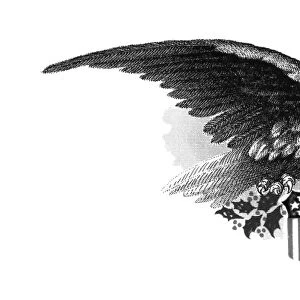 BALD EAGLE. Steel engraving and embossing, 19th century