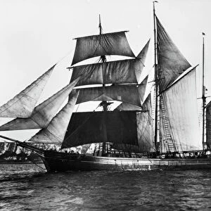 BARQUENTINE, 1871. The English barquentine Waterwitch, built in 1871