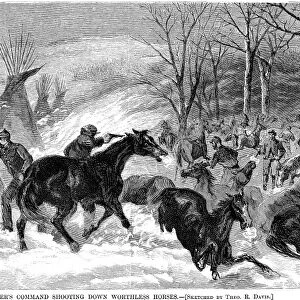 BATTLE OF WASHITA, 1868. Lieutenant Colonel George A. Custers men shooting some of the 900 horses captured from the Cheyenne Native Americans led by chief Black Kettle along the Washita River, Indian Territory. Contemporary American wood engraving