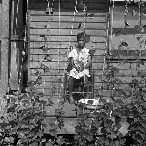 BEAN VINES, 1938. A farm girl seated on a porch behind butter bean vines in Memphis, Tennessee