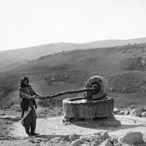 BEDOUIN MAN, c1910. A Bedouin man at a millstone in the Middle East. Stereograph, c1910