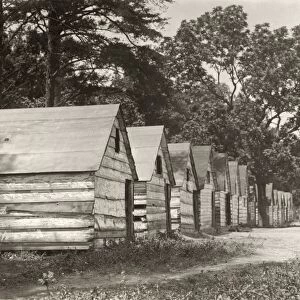 BERRY PICKER SHACKS, 1910. African American berry picker shacks on a farm in Ross, Delaware