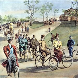 BICYCLING. on Riverside Drive, new York City. Drawing, 1895, by W. A. Rogers