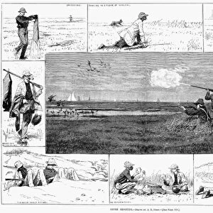 BIRD SHOOTING, 1881. Shore Shooting. Line engravings, 1881, after Arthur Burdett Frost