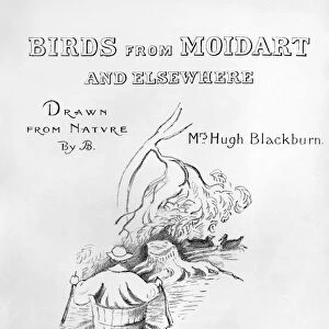 BLACKBURN: BIRDS, 1895. Title page of Birds from Moidart and Elsewhere by Jemima Blackburn